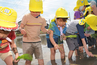 葛飾若草幼稚園の農園(埼玉県吉川市)