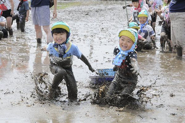 葛飾若草幼稚園の農園 泥んこ遊び